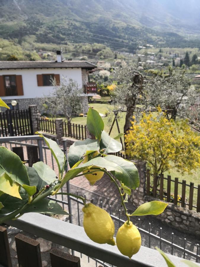 דירות מאלצ'סינה Casa Maestri מראה חיצוני תמונה